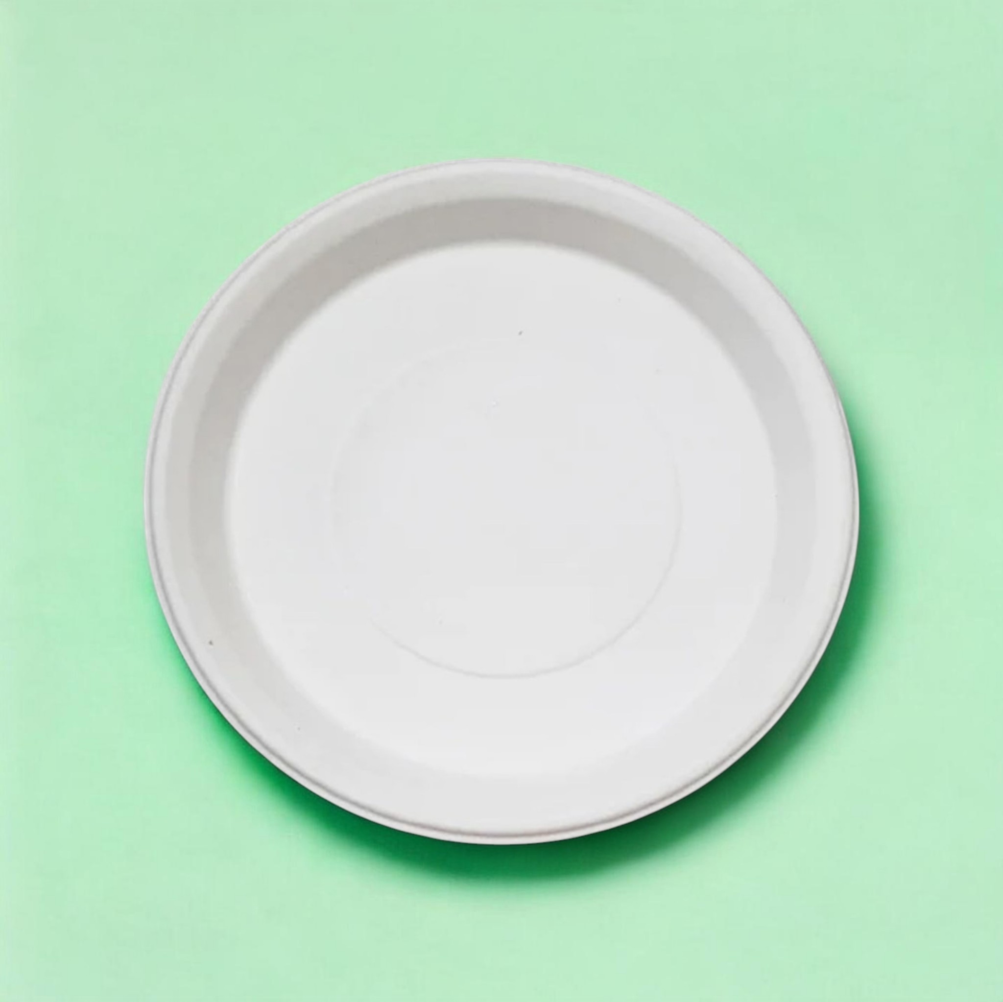 10-Inch Round Sugarcane Bagasse Plates – 25 pcs