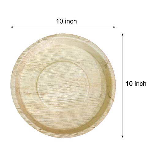 Areca Leaf Natural Disposable & Compostable 100% Eco-Friendly 10 Inch" Round Party Plate (Pack Of 10 Plates)